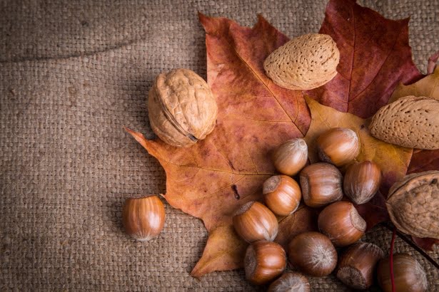 Les noix et les graines sont d'excellentes sources de graisses saines et de protéines.