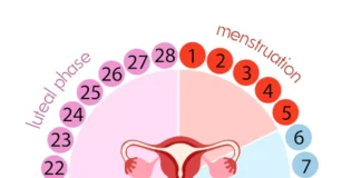 Les signes de la fin de la période d'ovulation.